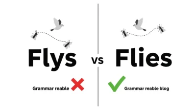 flys vs flies
